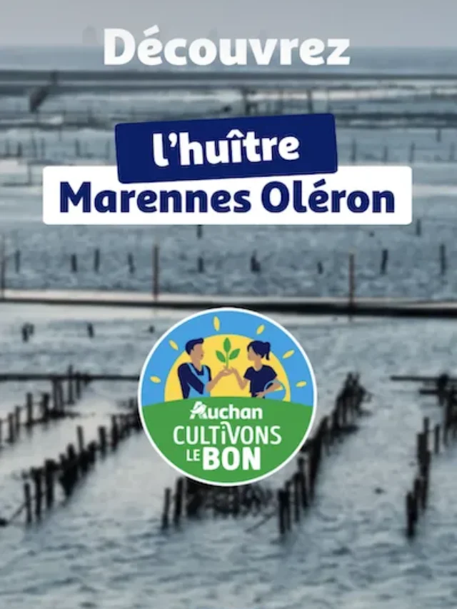 HUITRES MARENNES OLÉRON