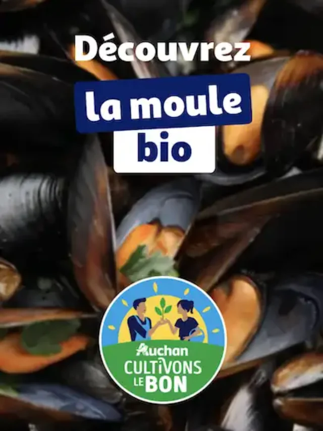 MOULE BIO