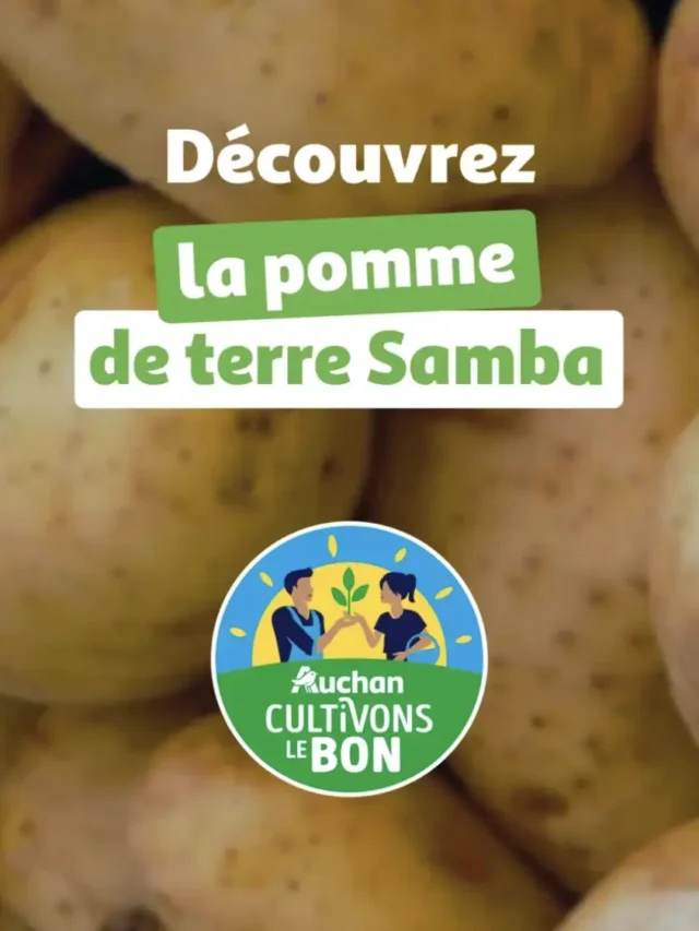 PDT SAMBA