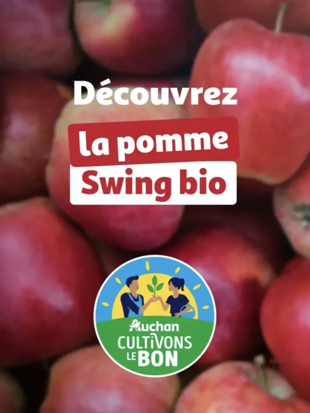 POMME SWING BIO